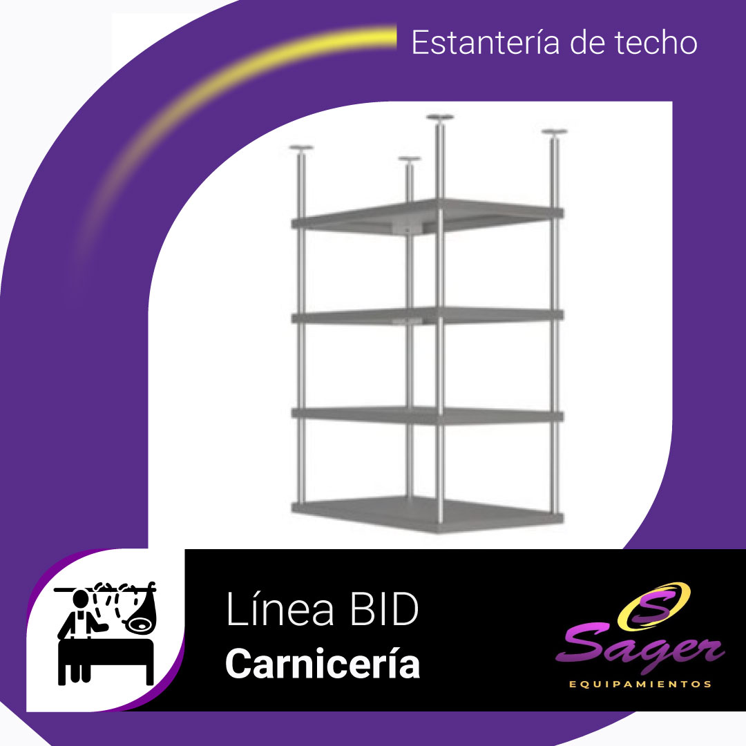 BID-Estanterías-de-techo